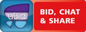 uBid New App On Bidding